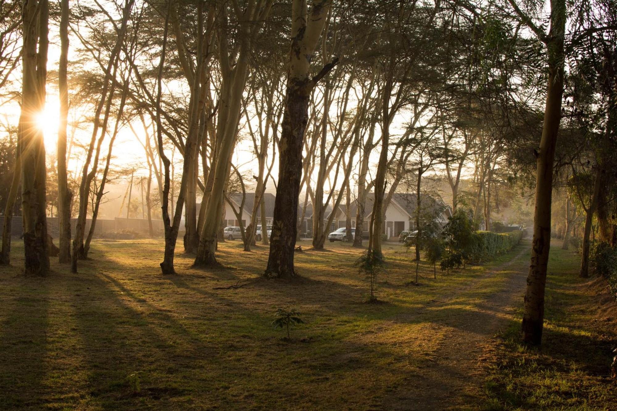 Burch'S Resort Naivasha Camping 외부 사진